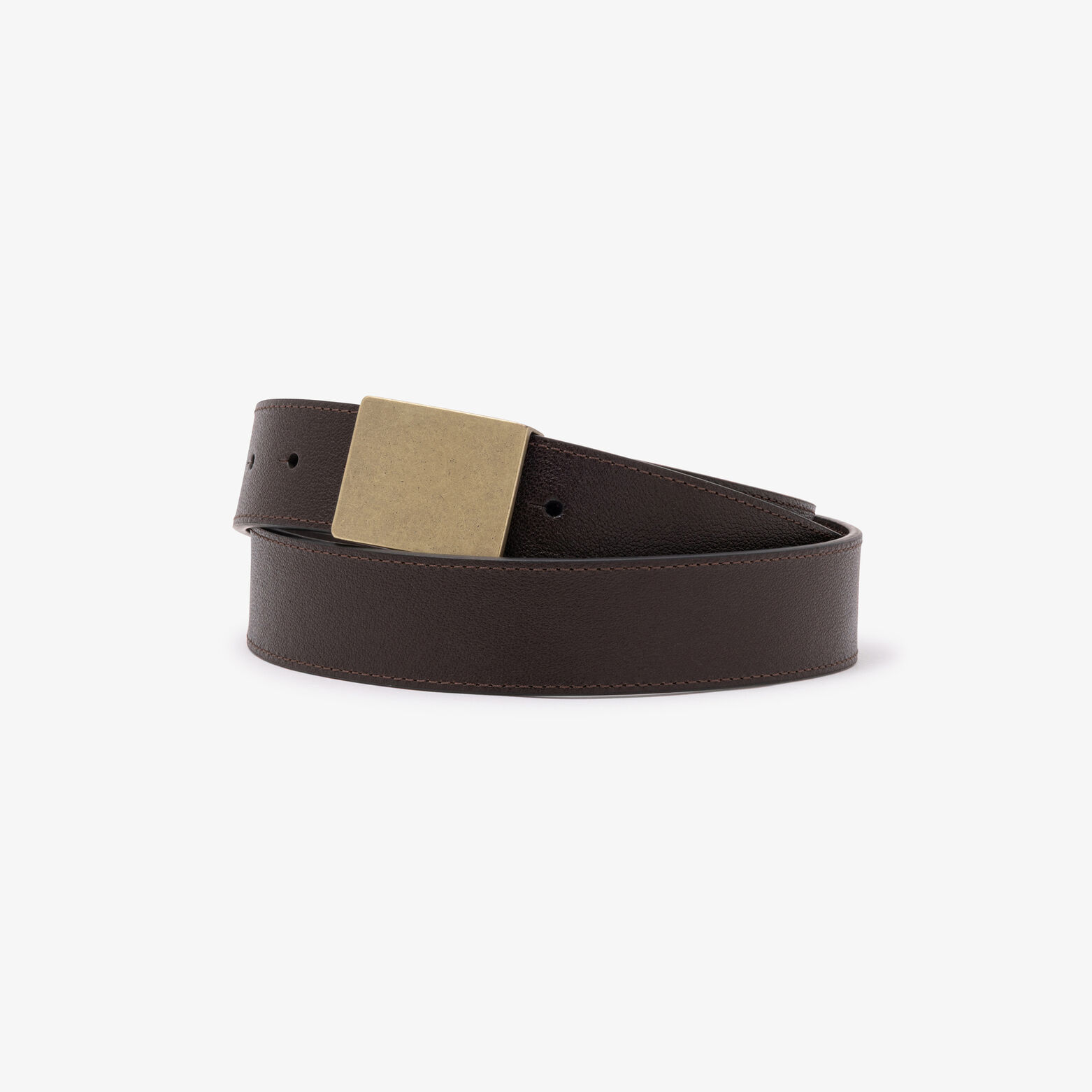 Lederen riem met goudkleurige plaat