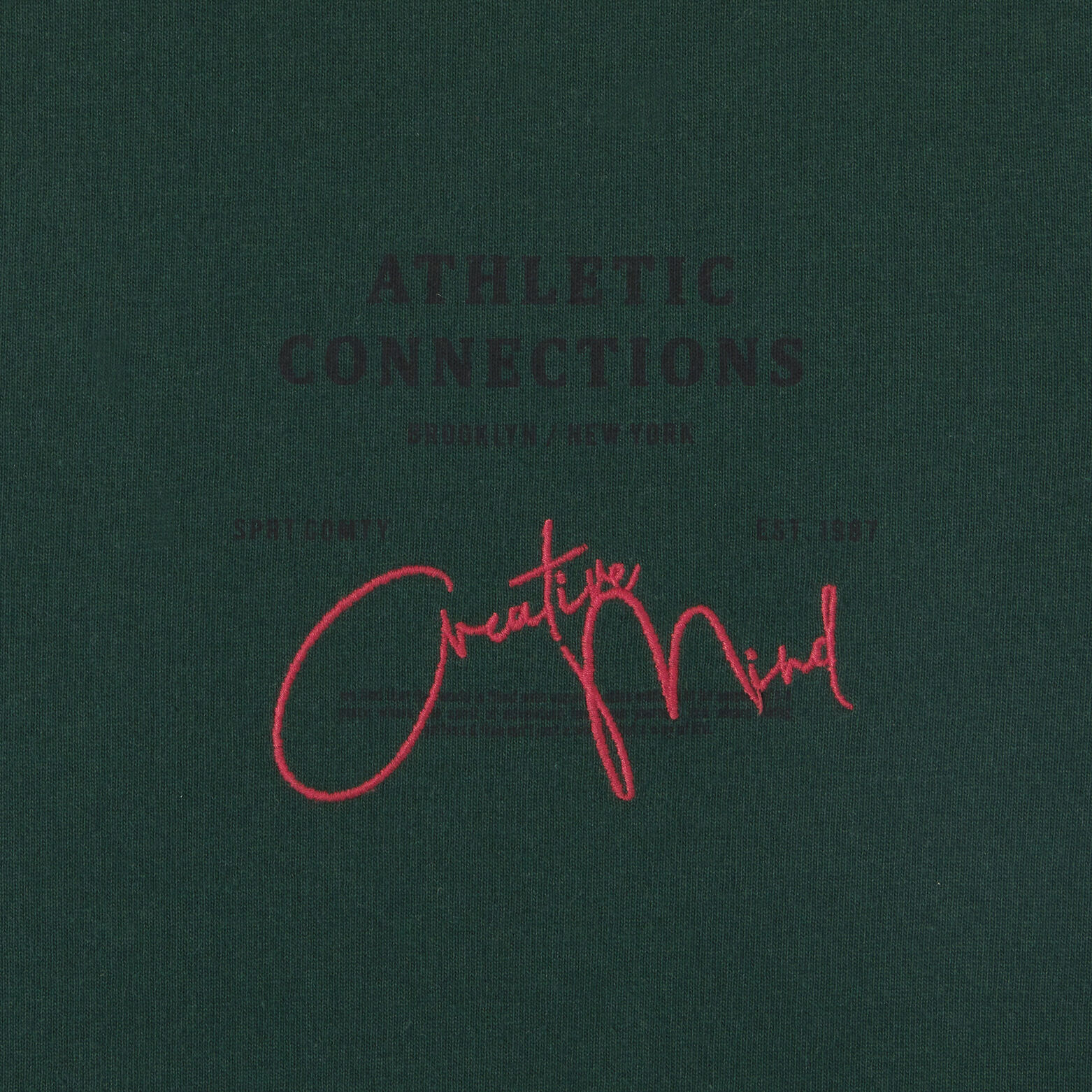 Tee shirt en coton broderie poitrine