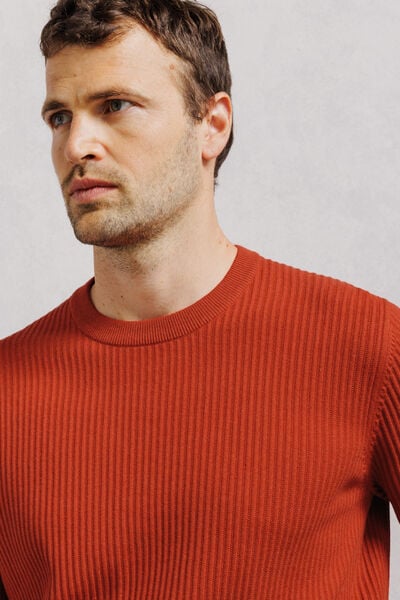 Pull col rond 100% coton point fantaisie