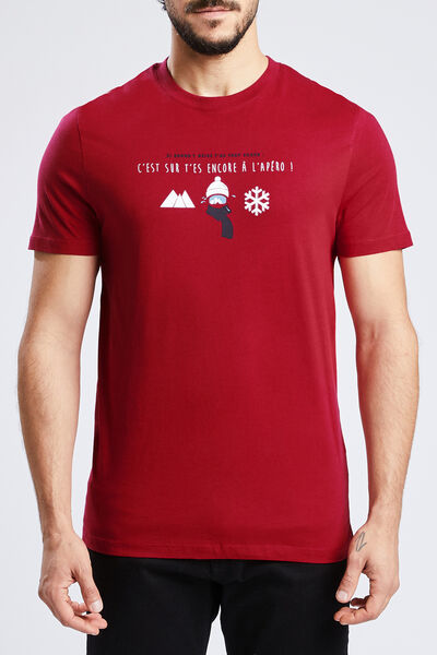 T-shirt met print regio Rhône-Alpes-Isère/Savoie