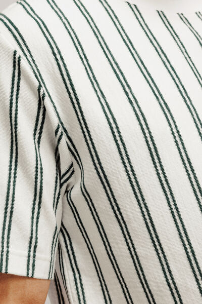 Tee shirt ray&eacute;