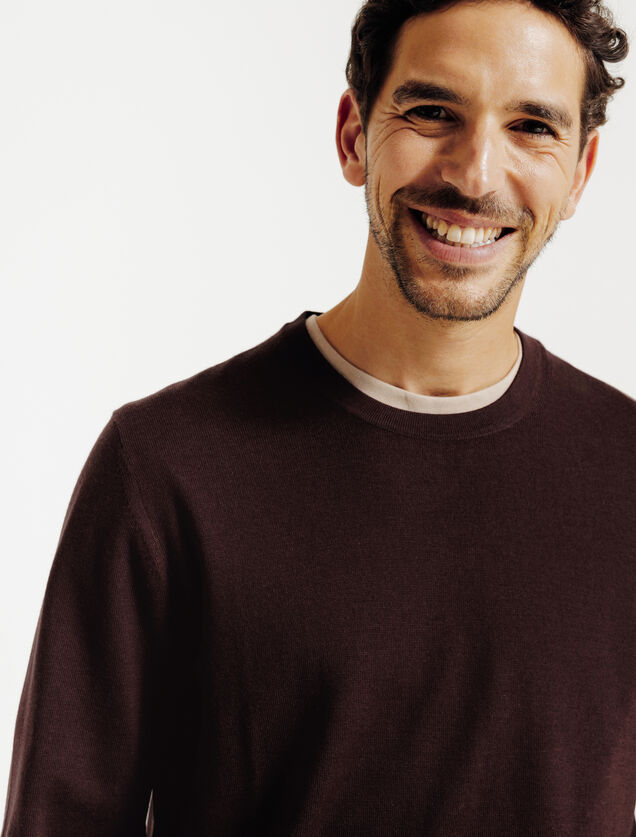 Trui ronde hals in merinos