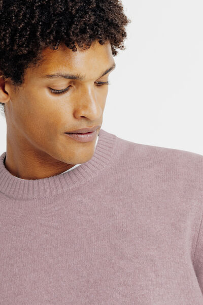 Trui ronde hals in lambswool
