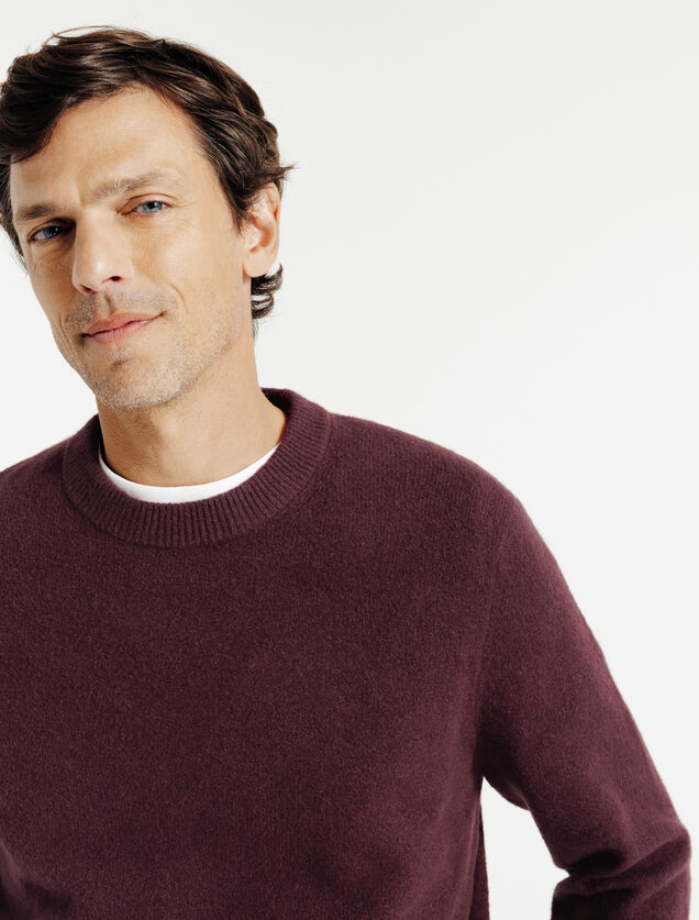 Pluizig trui ronde hals