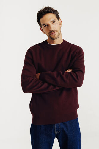 "Le Parfait by JULES" trui met ronde hals