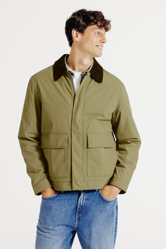 Blouson col chemise velours