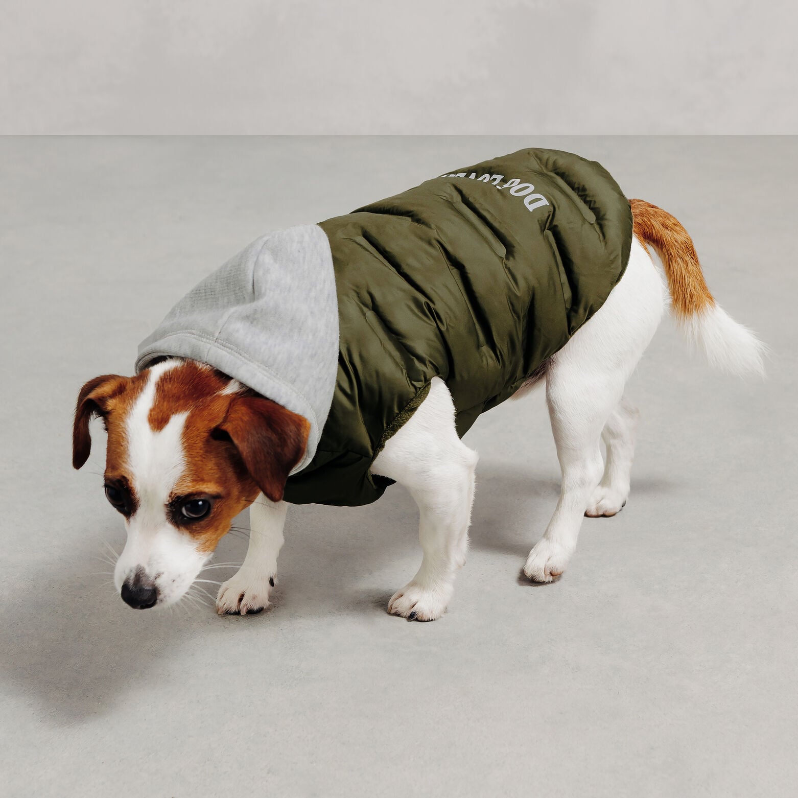 Ensemble sweat et doudoune pour chien