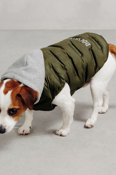 Doudoune &agrave; capuche pour chien "Dog Lover"
