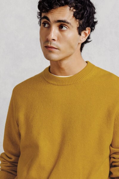 Trui met ronde hals en merino