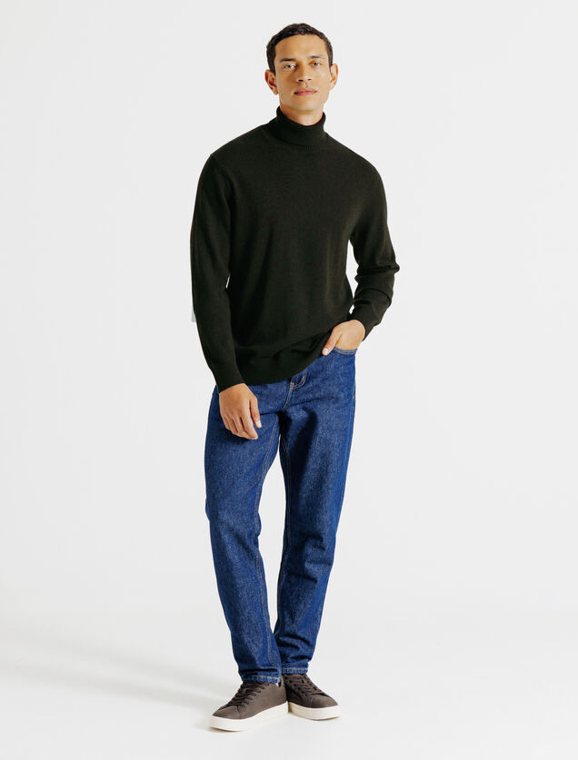 Trui met rolkraag in merinos kasjmier