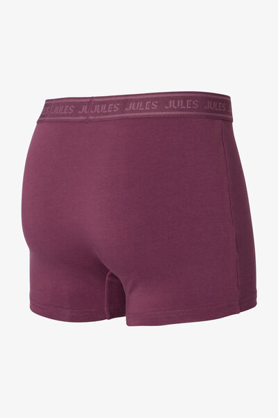 Boxer uni