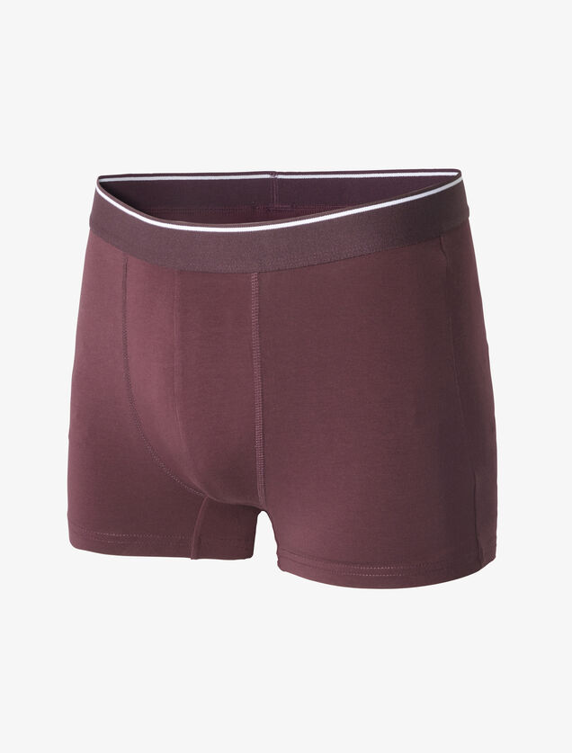 Boxer en coton