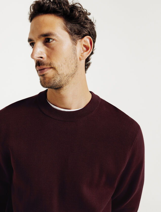 "Le Parfait by JULES" trui met ronde hals