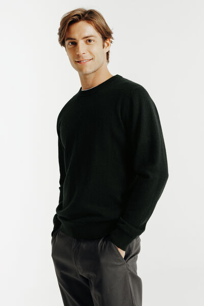 Trui ronde hals in merinos kasjmier