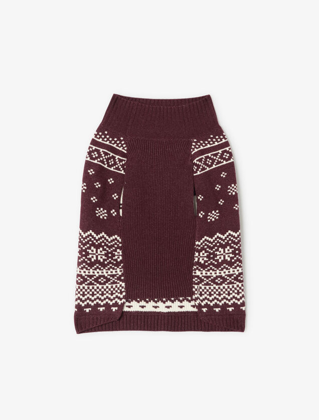 Pull pour chien No&euml;l