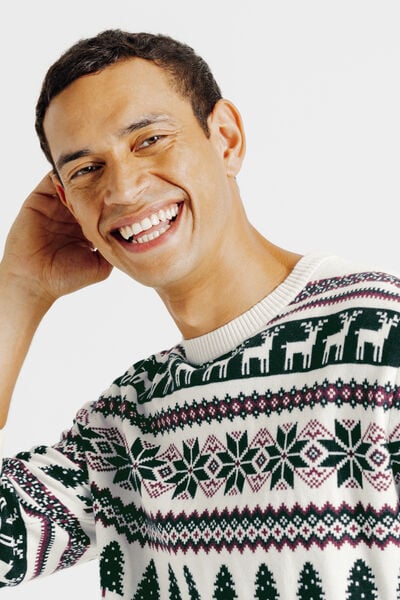 Pull de noël