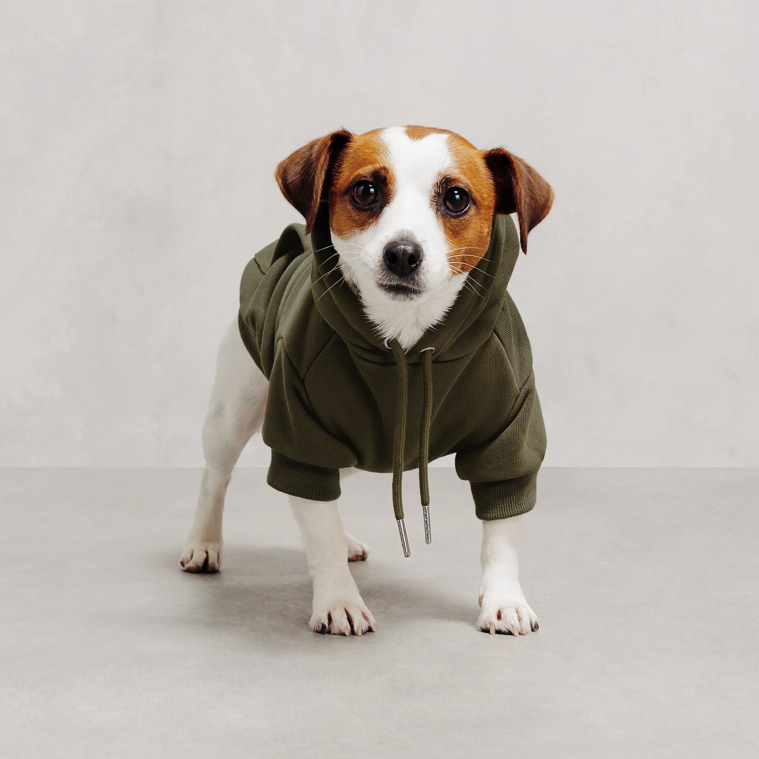 Sweat &agrave; capuche pour chien