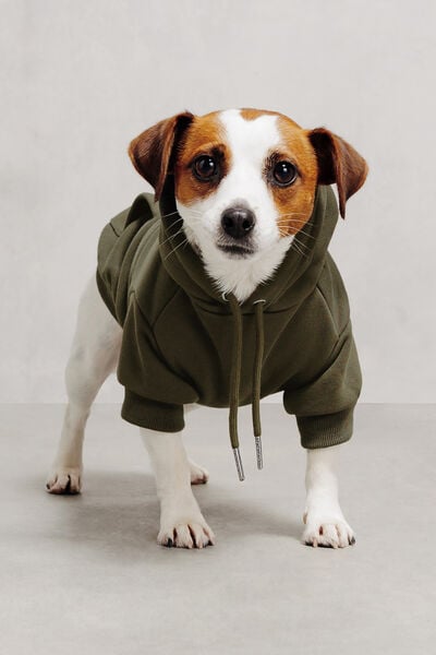 Sweat &agrave; capuche pour chien
