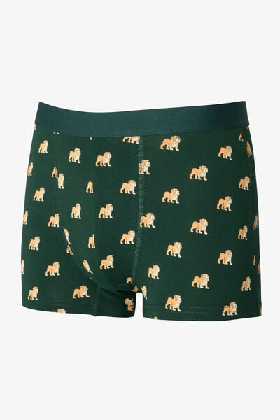 Boxer fantaisie