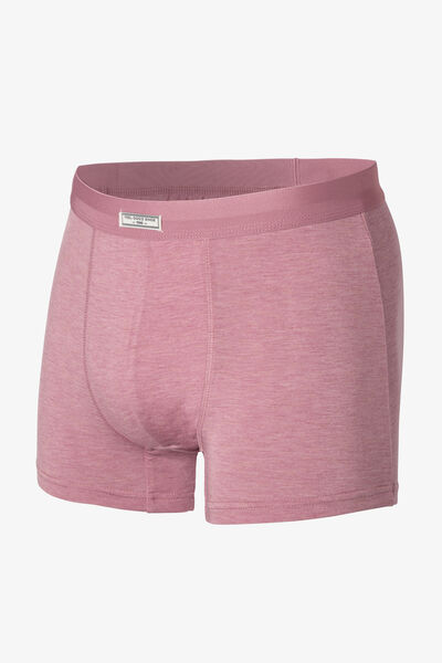 Boxer uni