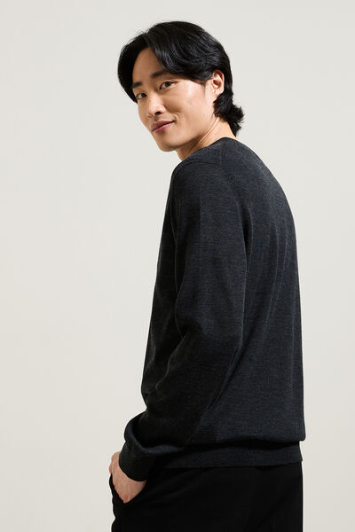 Trui met V-kraag in merinoswol