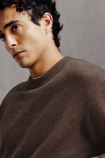 Pull col rond en laine d'agneau majoritaire