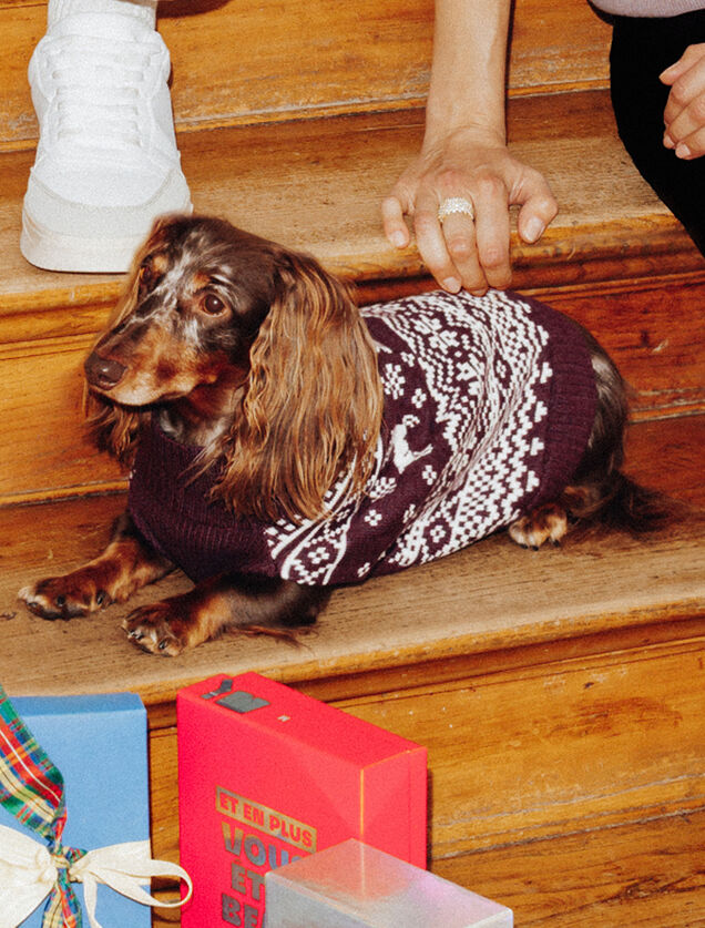 Pull pour chien No&euml;l