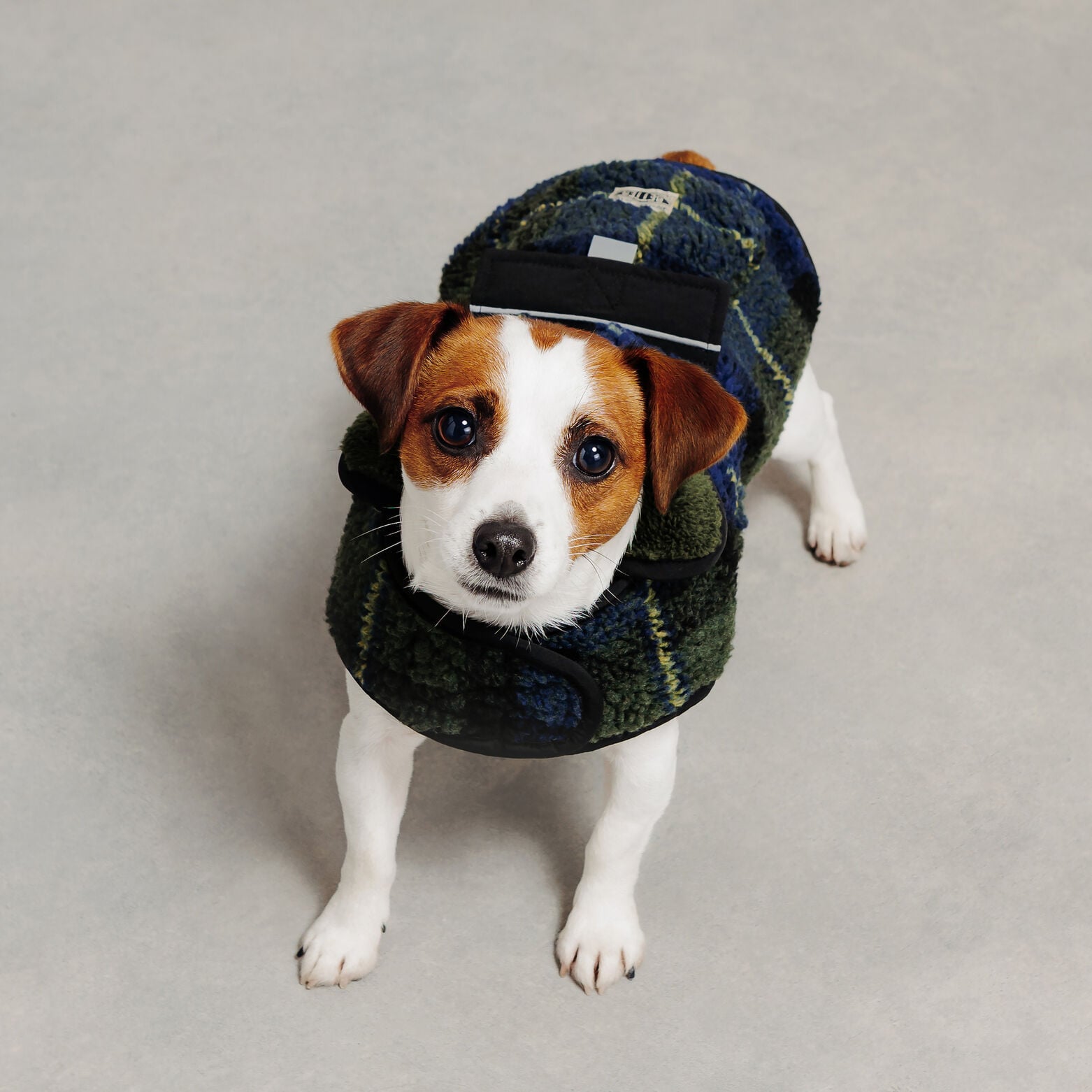 Manteau pour chien &agrave; carreaux