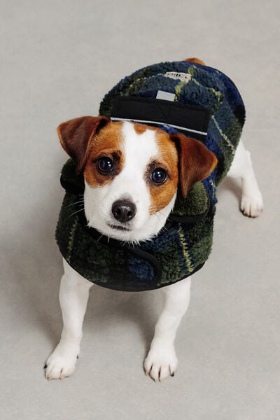 Manteau pour chien &agrave; carreaux