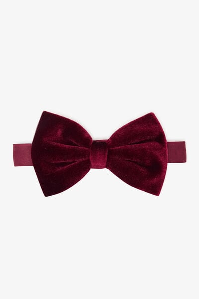 Noeud-papillon en velours