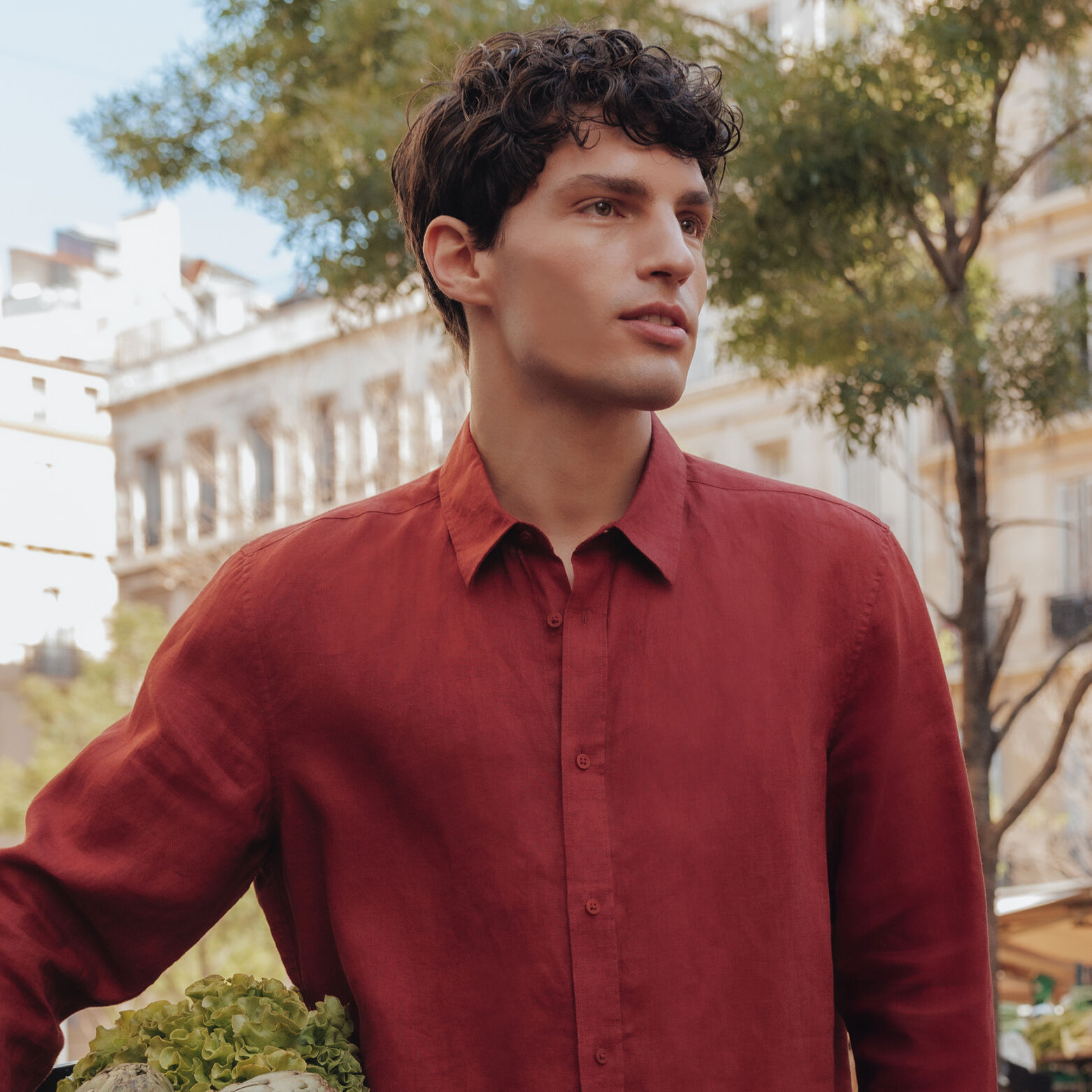 Chemise 100% lin regular unie