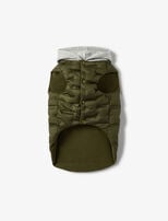 Vert kaki