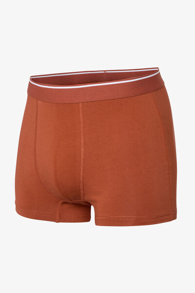 Boxer uni