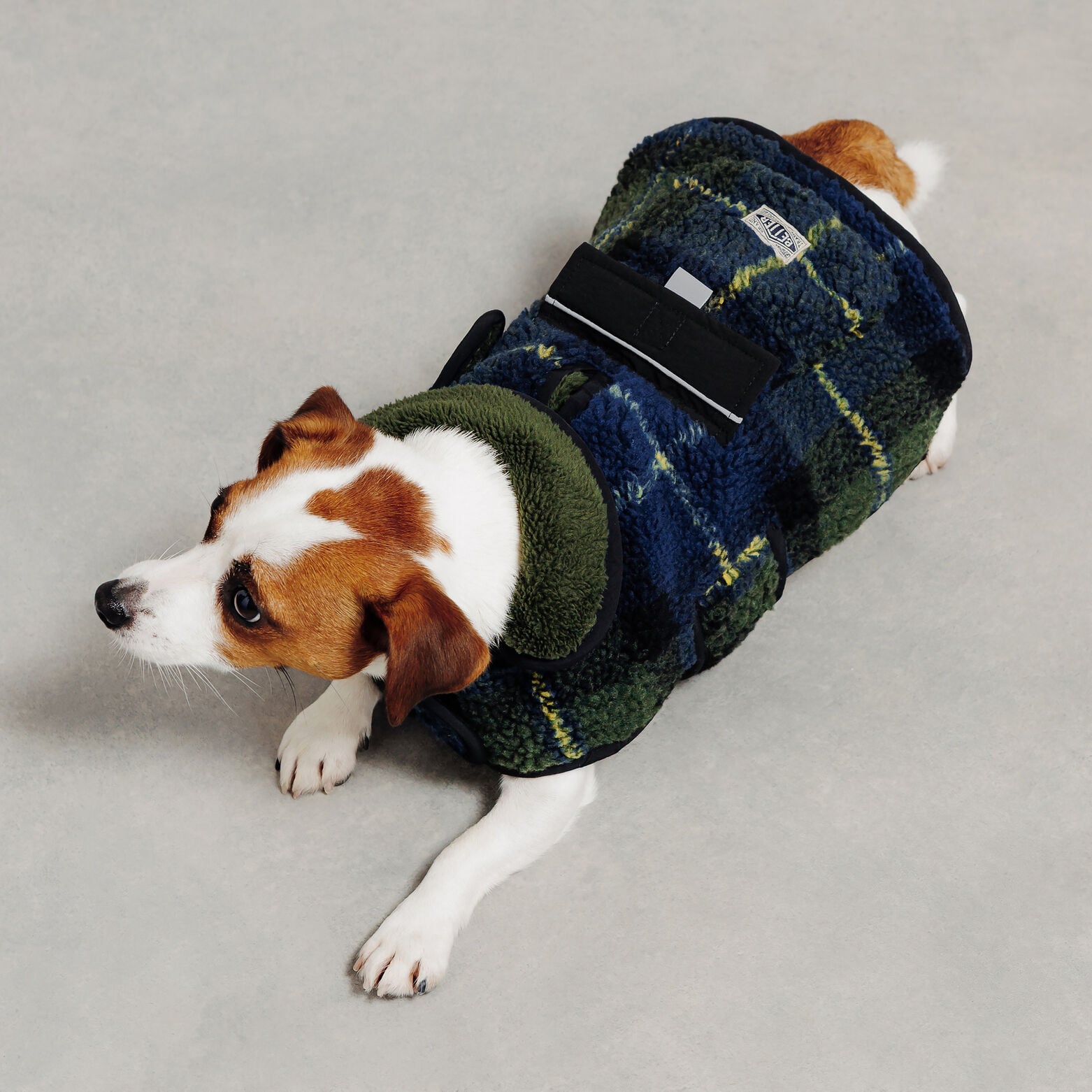 Manteau pour chien &agrave; carreaux