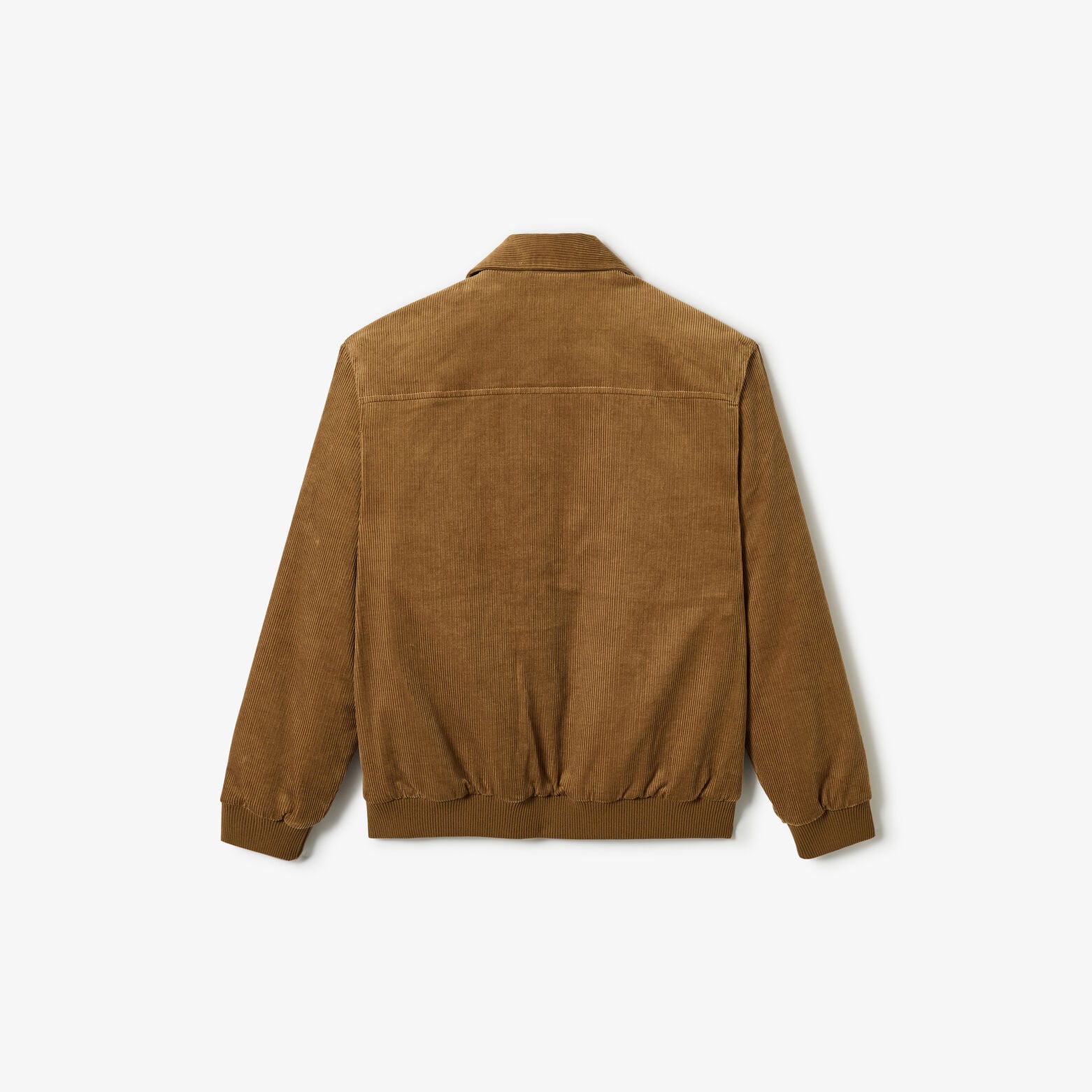 Fluwelen blouson met hemdkraag en rits
