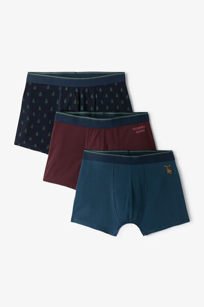 Coffret 3 boxers esprit Noël