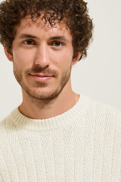 Pull col rond torsade