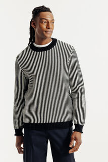 Trui ronde hals in gestreept jacquard