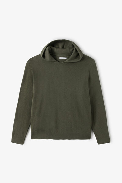 Pull &agrave; capuche &eacute;pais