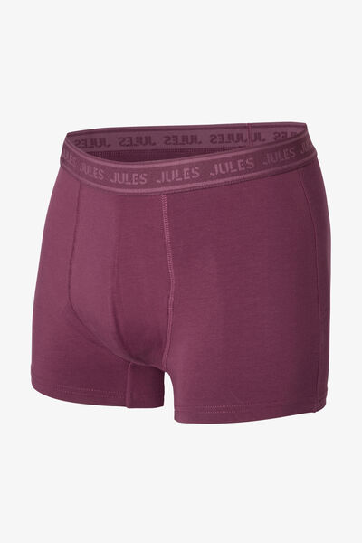 Boxer uni