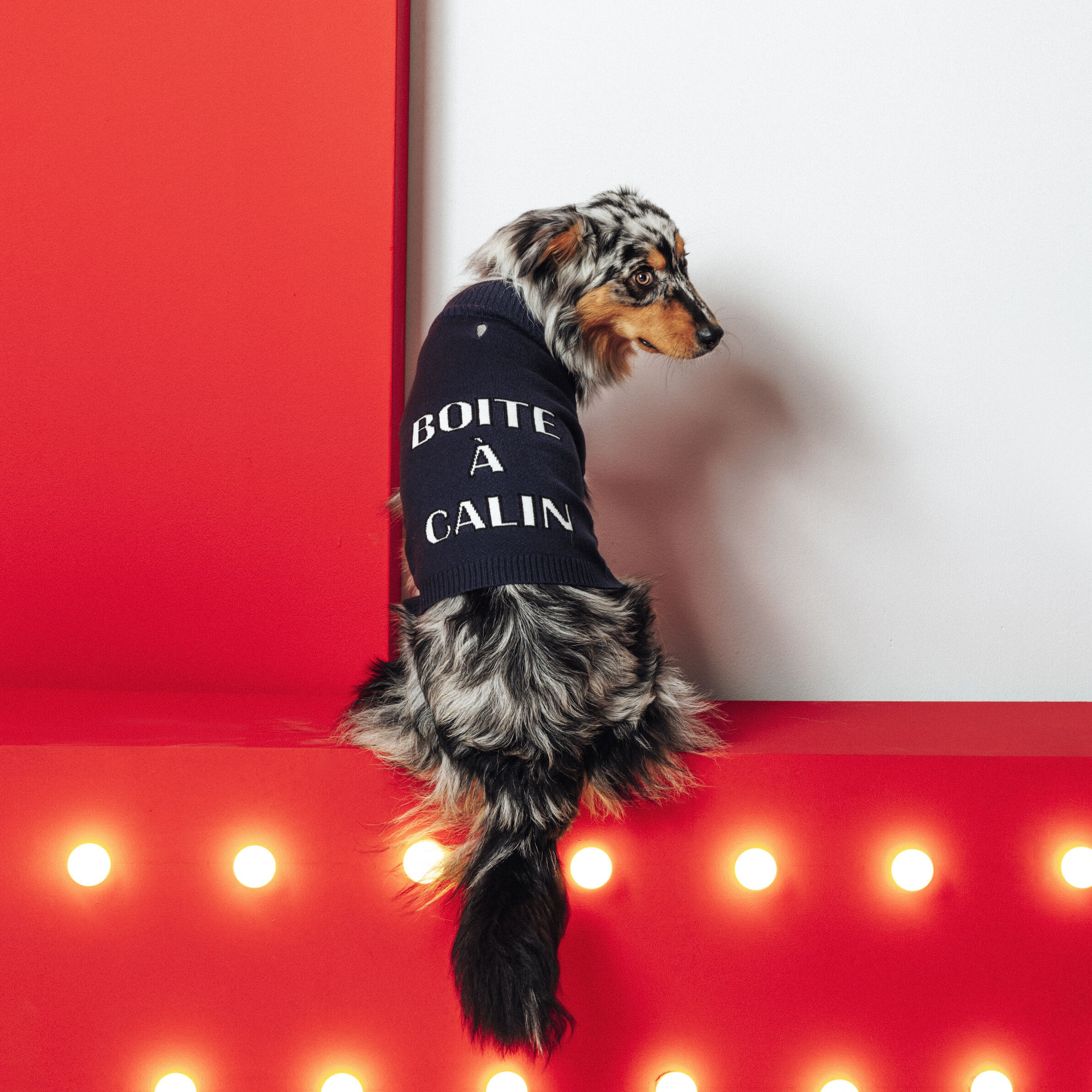 Pull de noel homme jules on sale