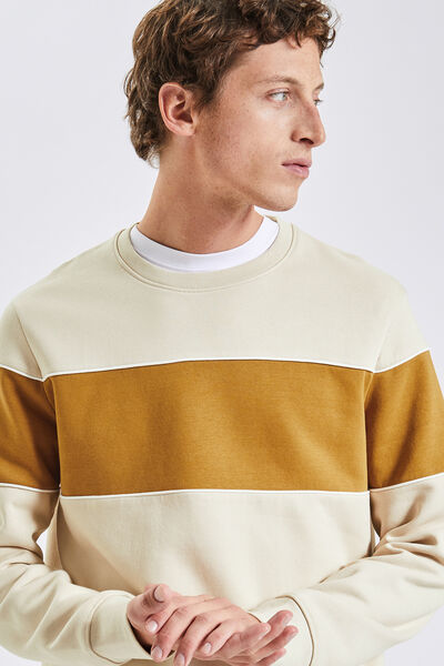 Sweat col rond colorblock