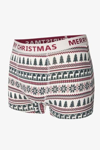 Boxer fantaisie Noël