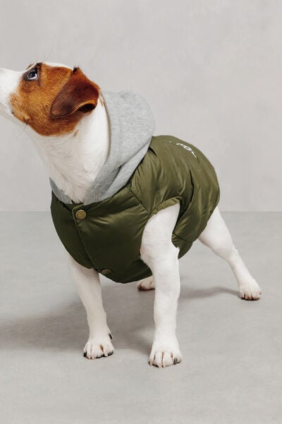 Doudoune &agrave; capuche pour chien "Dog Lover"