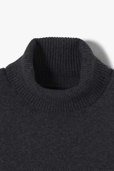 Pull col roulé mérinos cachemire