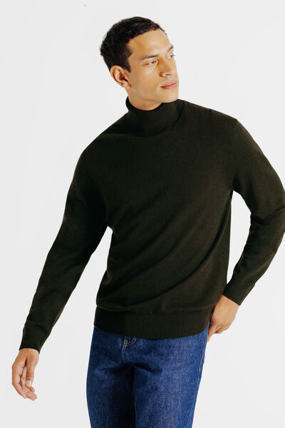 Pull col roulé mérinos cachemire