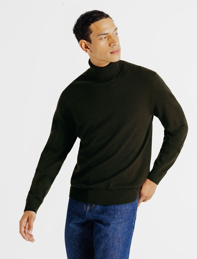 Trui met rolkraag in merinos kasjmier