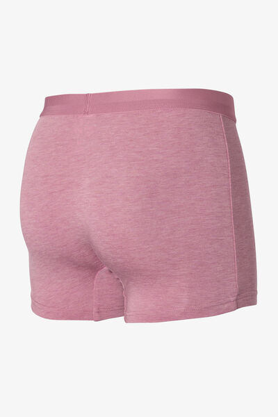Boxer uni