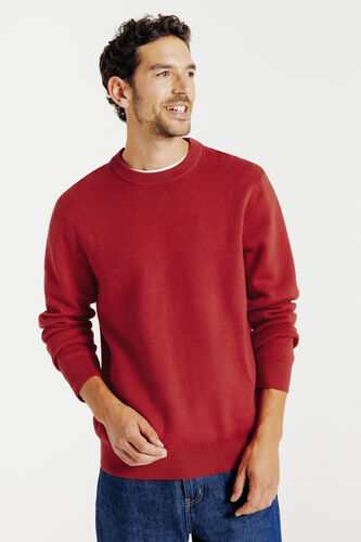 "Le Parfait by JULES" trui met ronde hals