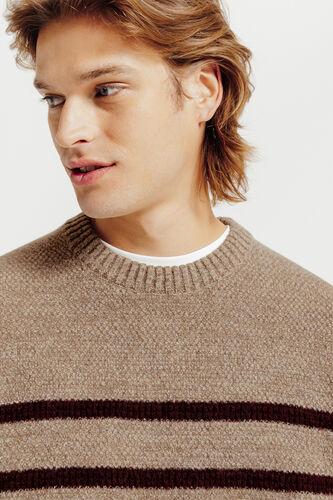 Trui ronde hals in gestreept stekenpatroon